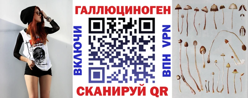 Псилоцибиновые грибы Psilocybine cubensis  Купить  Высоковск 